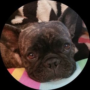 Meet your Posher, Nozomi